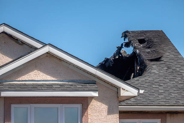 Top rated local Firefighting Water Removal specialists in Berlin, MD